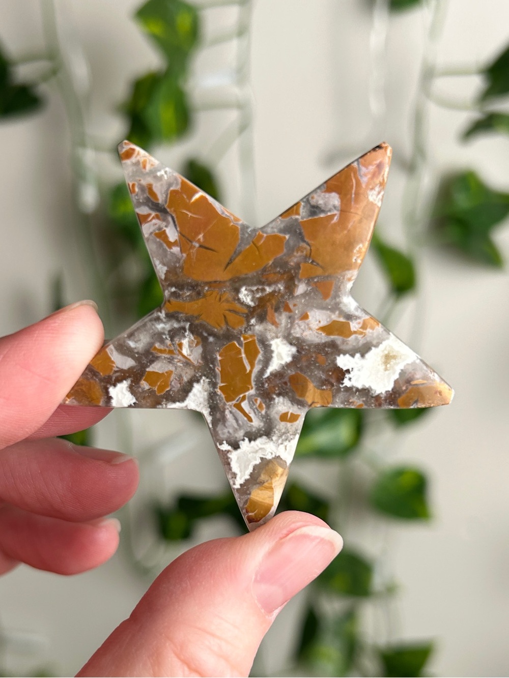 Brecciated Jasper Star A